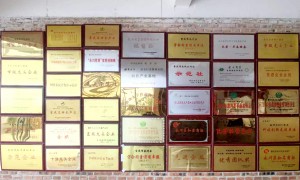 茶叶批发公司口碑汇总，品质可靠的供应商推荐