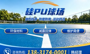 硅PU球场维护企业哪家好？实力公司推荐