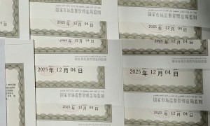2026年靠谱的营业执照年报服务公司推荐，省心不踩坑