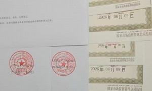 2026年评价高的专利未处理也能注销营业执照的机构推荐
