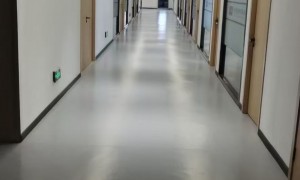 浙江依客思市场占有率怎么样