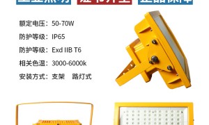 依客思隔爆型LED防爆灯BZD180-100W仓库巷道用高亮节能质保三年