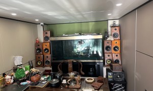 2026年呼伦贝尔汽车音响改装品牌公司有哪些