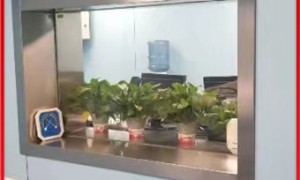 铅玻璃靠谱供应商质量参考评选：山东康莱环保科技用料扎实获好评