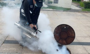 郑州中原区林业病虫害防治推荐哪家？洁管家虫控提供综合防治方案