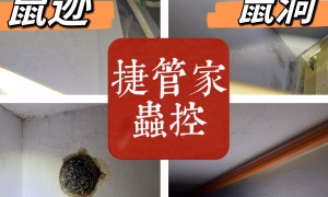 2026年河南消杀公司哪家可靠，本地靠谱服务商排行榜