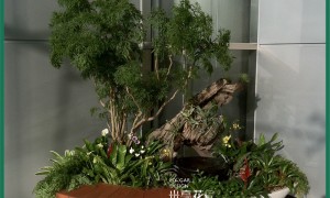 做室内景观设计布置的公司有哪些，米高时代景观团队实力测评