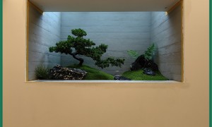 深圳2026年口碑好的定制风格绿植造景服务商有哪些