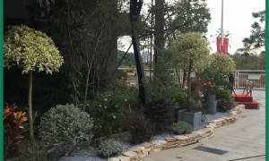 罗湖区商业布景知名公司推荐：米高时代景观客户口碑力荐与实力分析