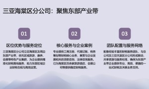 2026年代账服务商实力与用户口碑深度解析