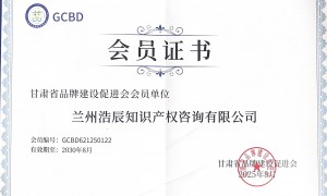 浩辰知识产权咨询，为企业打造定制化服务方案
