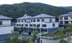 2026大连高性价比的铝木门窗品牌企业，正规的铝木门窗厂家靠谱商家测评排名
