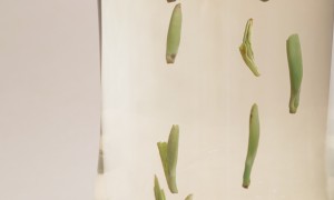 中秋礼盒茶礼选购指南，品质甄选不踩坑