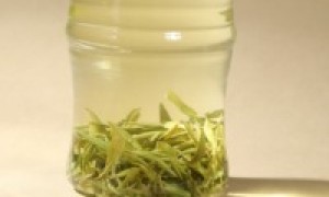 绿茶推荐哪家便宜？适合上班族的绿茶挑选全攻略