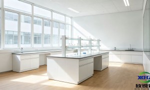 欣锐臻（厦门）净化：食品厂洁净室装修施工，温湿度/压差精准控制