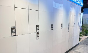 2026年拉萨装修公司局部翻新选哪家，用户力荐这些服务商