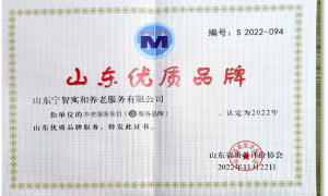 2026年山东淄博能提供健康调养的老年公寓推荐哪家|宁智寓和养老专业实力与用户口碑深度解析
