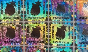 2026年口碑好的激光镭射防伪标签定制工厂实力公司推荐