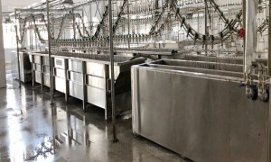 2026年水禽专用脱毛浸烫家禽屠宰流水线生产厂家质量参考评选
