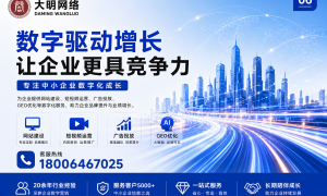 大明网络科技企业官网定制价格与流程解析，适配制造业、服务业等多行业场景需求