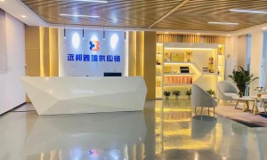 深圳远邦跨境2026年欧洲UPS国际快递实力服务商推荐