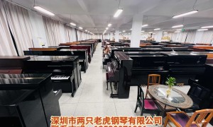 两只老虎钢琴技术实力如何