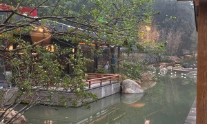 2026年正规的园林夜宵餐厅有哪些？实力参考