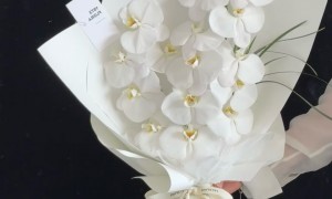 2026年正规的阜阳中高考考完接孩子订花服务商实力参考