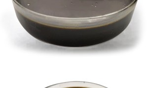 天津沥青抗剥落剂正规生产厂家有哪些：中科新材料成立多年信誉度高