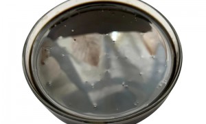 天津SMC温拌沥青改性剂源头生产厂家哪家合作案例多？正规资质齐全企业全景分析