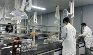 珠三角地区实验用多肽质量好的厂家，科研多肽合成企业选购参考汇总