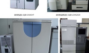 京津冀地区报告齐全的多肽合成资质齐全公司用户力荐