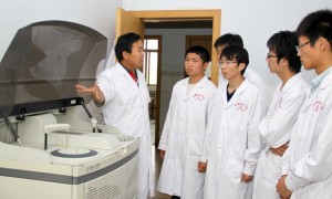 2026年云南口碑好的河南艺术生学费便宜的公办大专院校有哪些