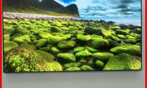 显示屏批发推荐厂家选购参考汇总