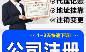 2026年进出口公司注册靠谱机构选择指南：省心不踩坑的资质齐全服务商推荐