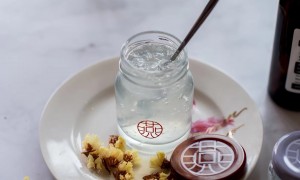 燕春语技术实力怎么样