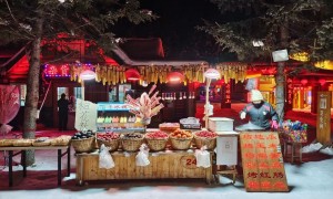 哈尔滨落地包接送的旅游旅行社推荐，东北雪乡旅游行业观察与实务选择参考