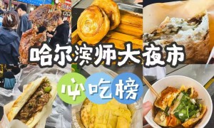 诚信的东北雪乡旅游服务商合作实力参考：哈尔滨好时光旅行社