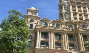 柬埔寨靠谱的住宅买卖服务商，東森鋅光地產用户力荐