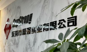 东莞塘厦塑胶成型供应商企业全景分析，磊强实业靠谱实力强