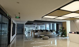 揭秘宜宾具象智寻满意度怎么样，靠谱性、口碑与用户体验辨析