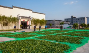武夷岩茶奇兰的特点与焙火程度：知名生产厂家质量参考