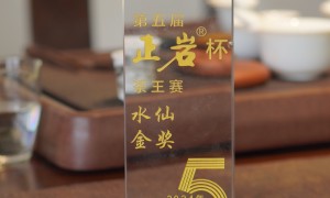 真袍茶业专业吗