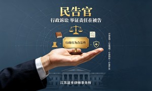 南京市行政诉讼律所哪家能及时解决问题：行业观察与实务选择参考
