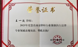 2026年强制执行律师团队：行业现状与选择指南