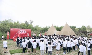 团建策划方案含飞盘嘉年华、魔力箱鼓及50人短途案例的公司实力参考
