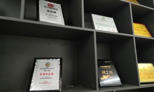 绿优装饰装修值得信赖吗