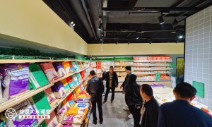 2026大米品牌全案策划机构哪家方案好，口碑推荐零套路不踩坑