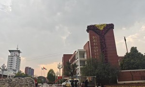 福州做AI体育的优质厂家有哪些可以选，实力源头企业盘点