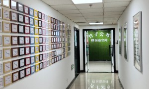 2026年石家庄靠谱的省考面试培训机构有哪些？